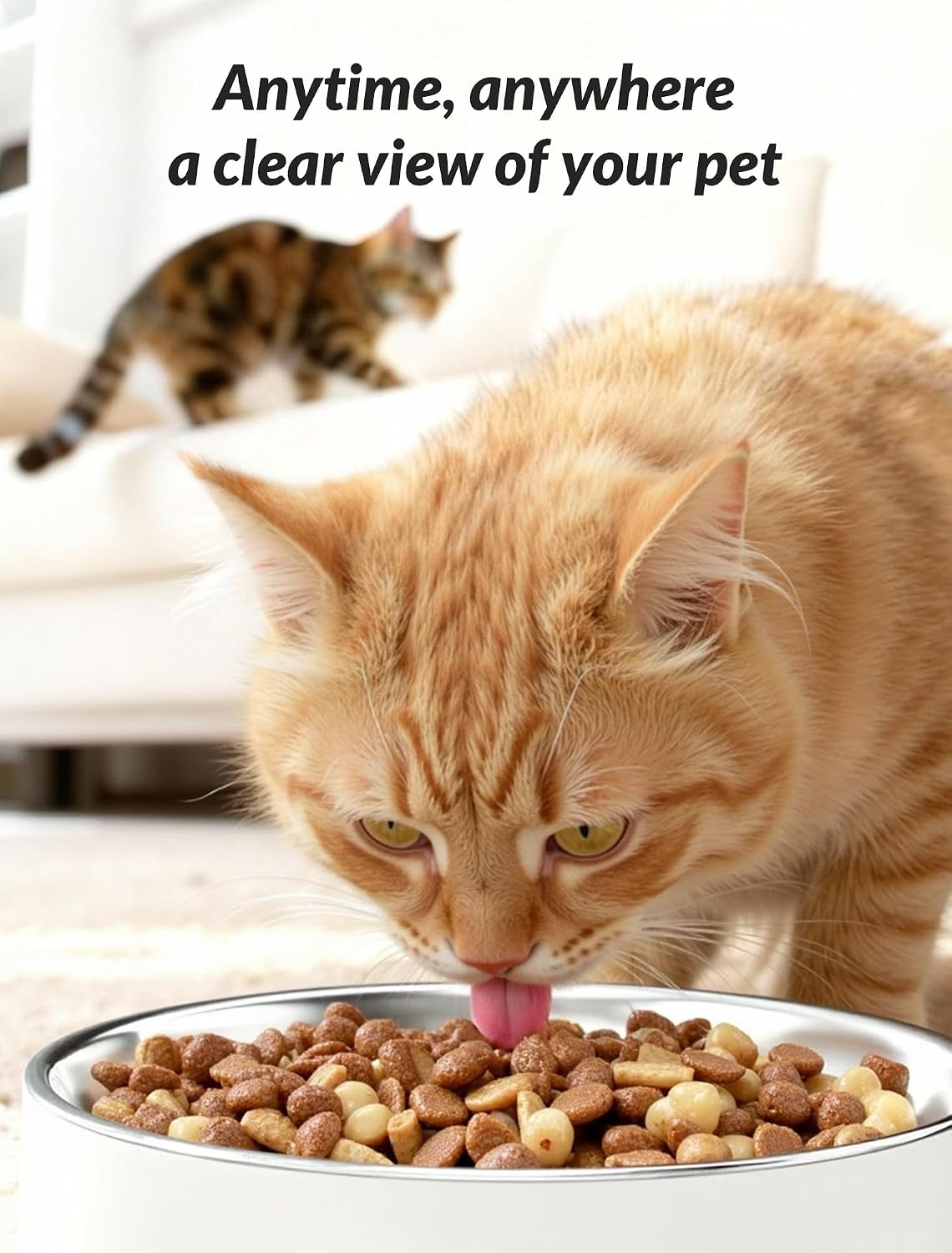 automatic cat feeder with camera, 5l timed cat shown in use
