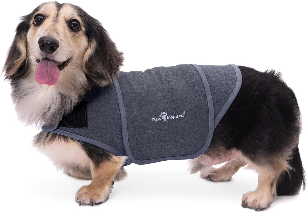paw inspired dog anxiety vest, small shown in use