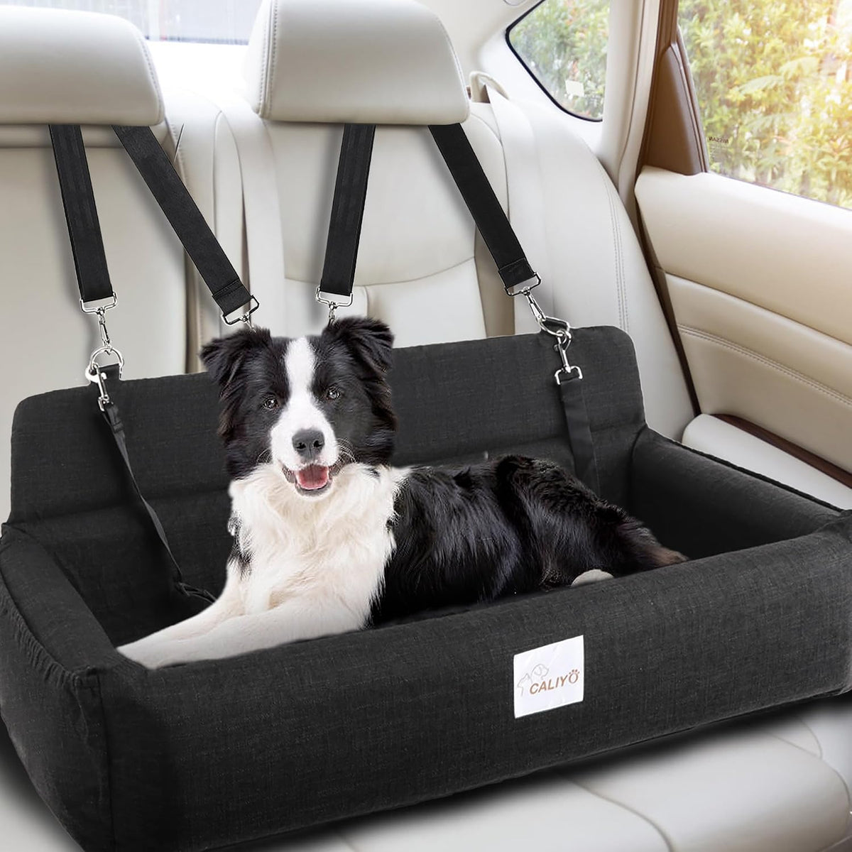 medium to large dog car seat，suitable for all shown in use