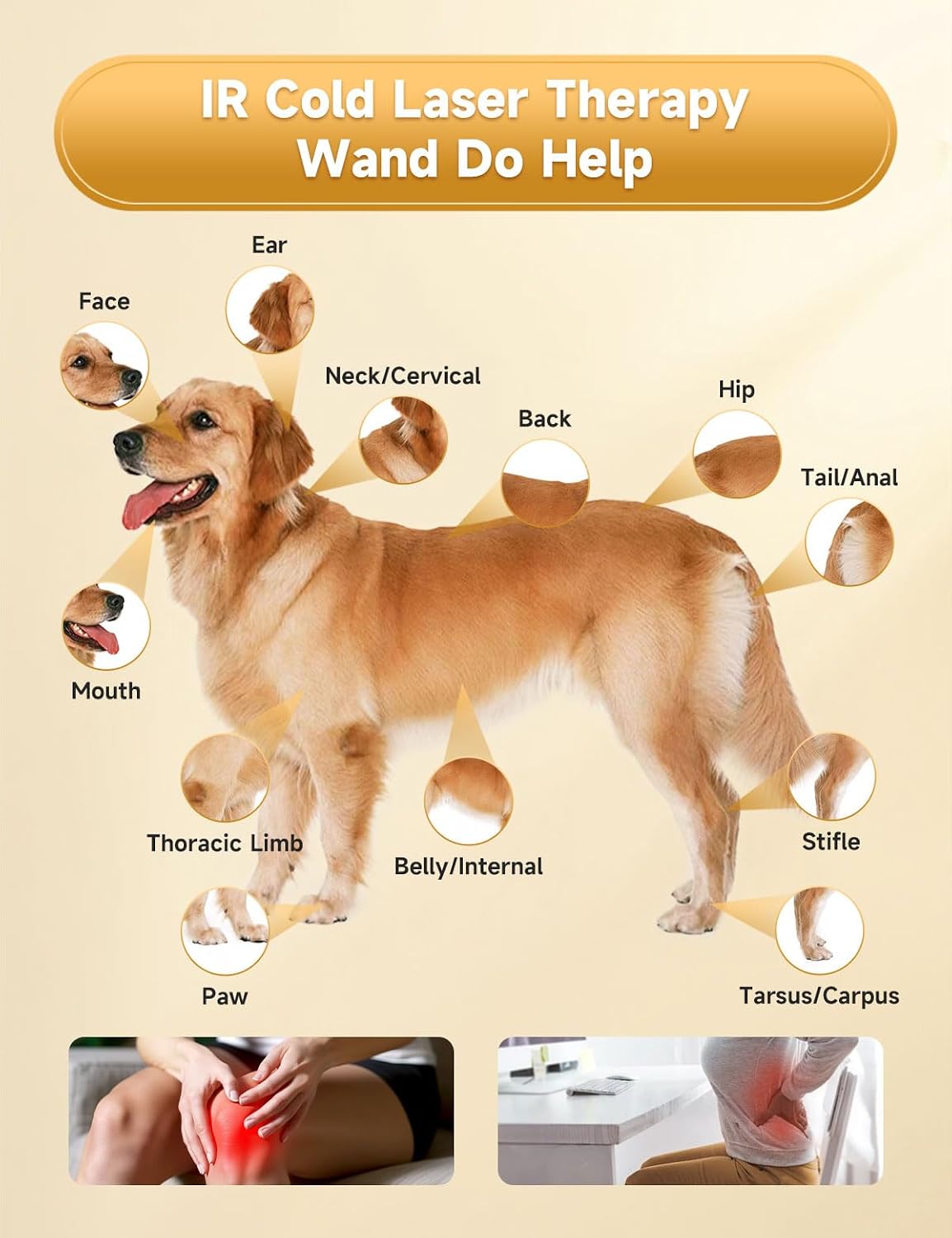 portable cold laser therapy device for dog cat, side view