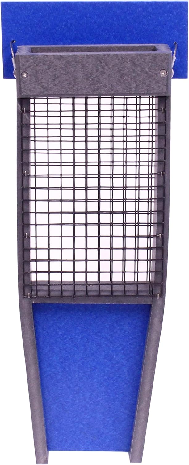 suet-cake bird feeder - designed for pileated woodpeckers, close-up detail