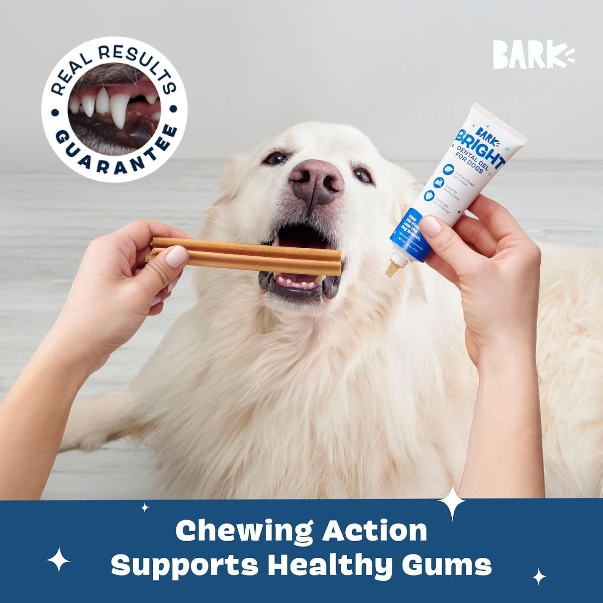 barkbox bright dental care kit - for dogs showing dimensions