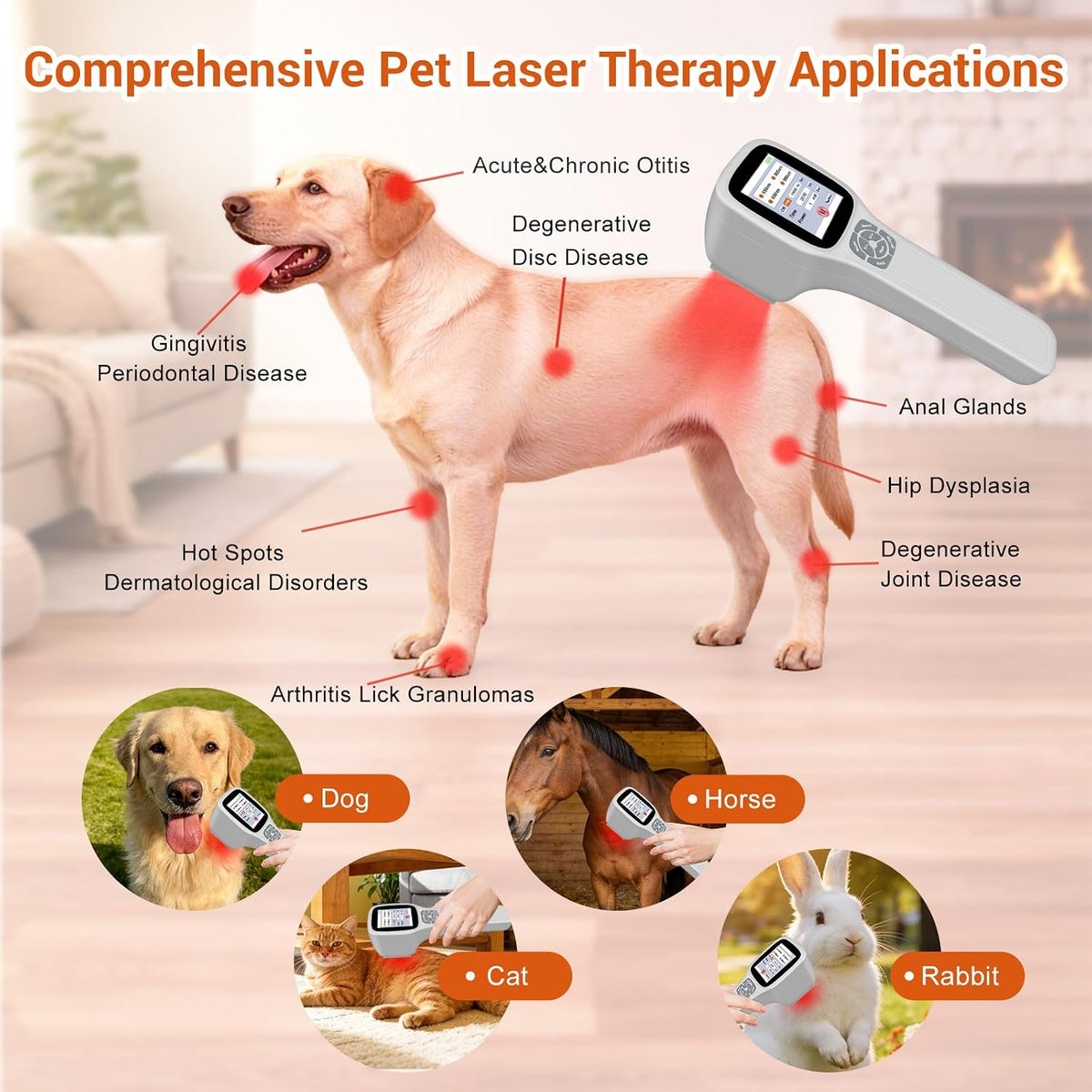 cold laser therapy device for dogs veterinary laser, close-up detail