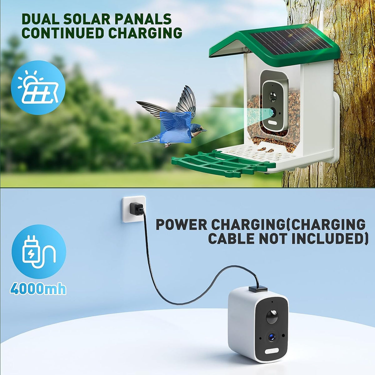 smart bird feeder with camera solar powered, 2.5k showing dimensions
