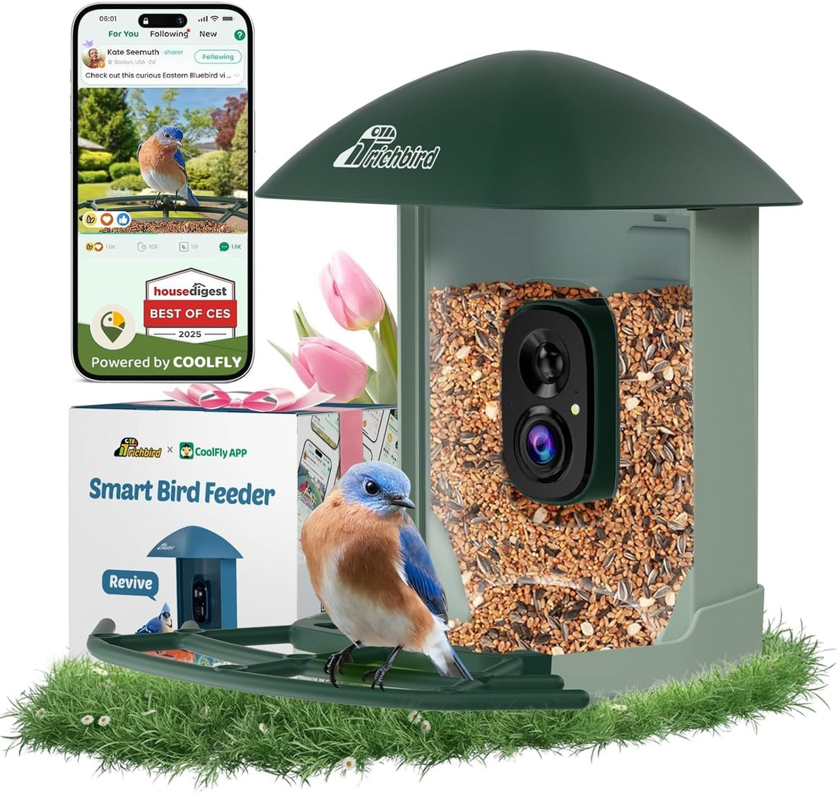 smart bird feeder with camera solar powered, 2.5k, main product view