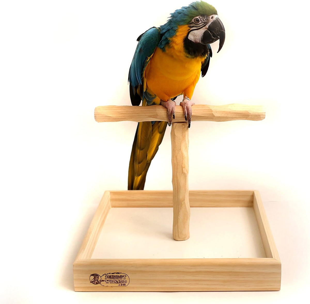 deluxe large tabletop nu perch - parrot t, main product view
