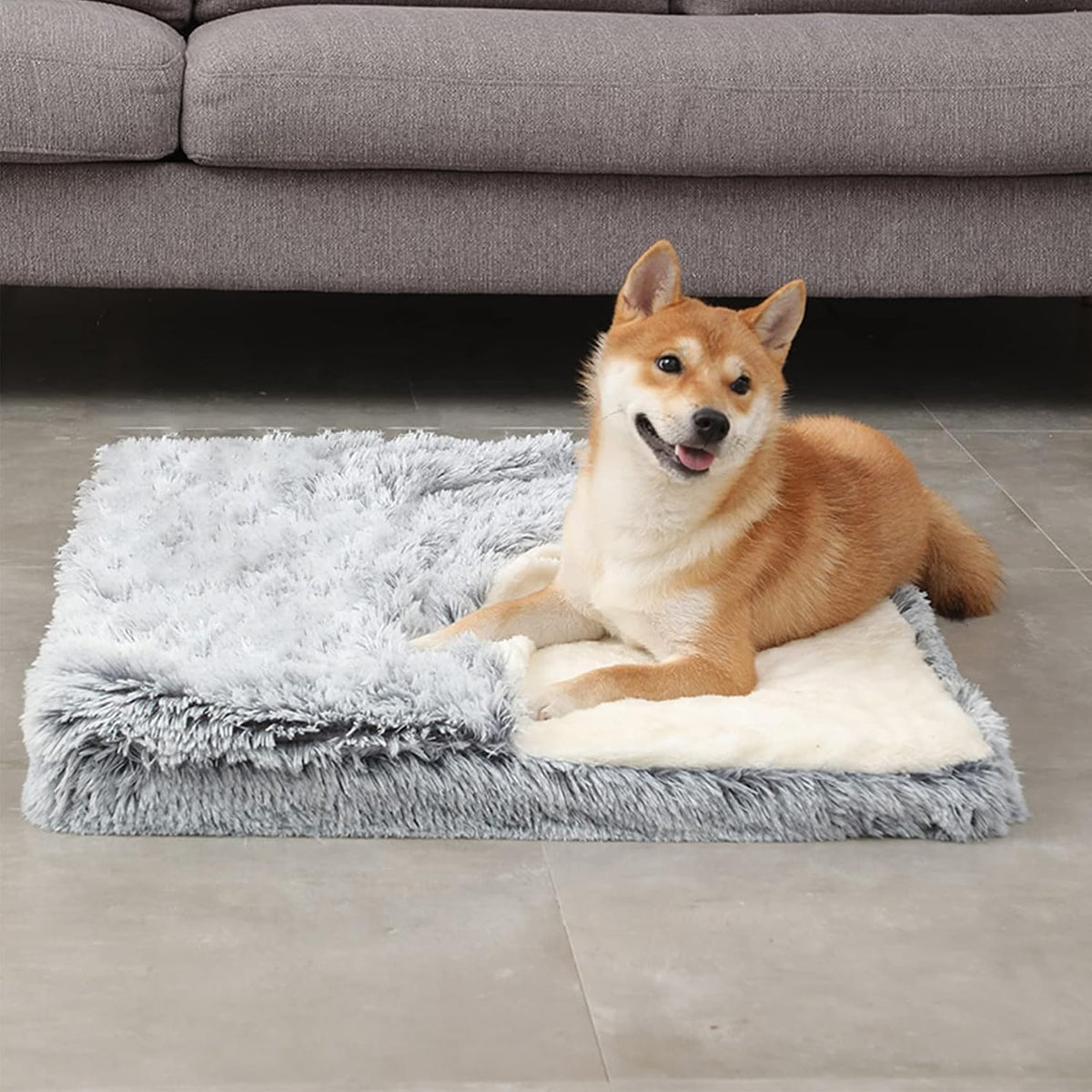 dog bed with cover cave, orthopedic dog bed, front angle view