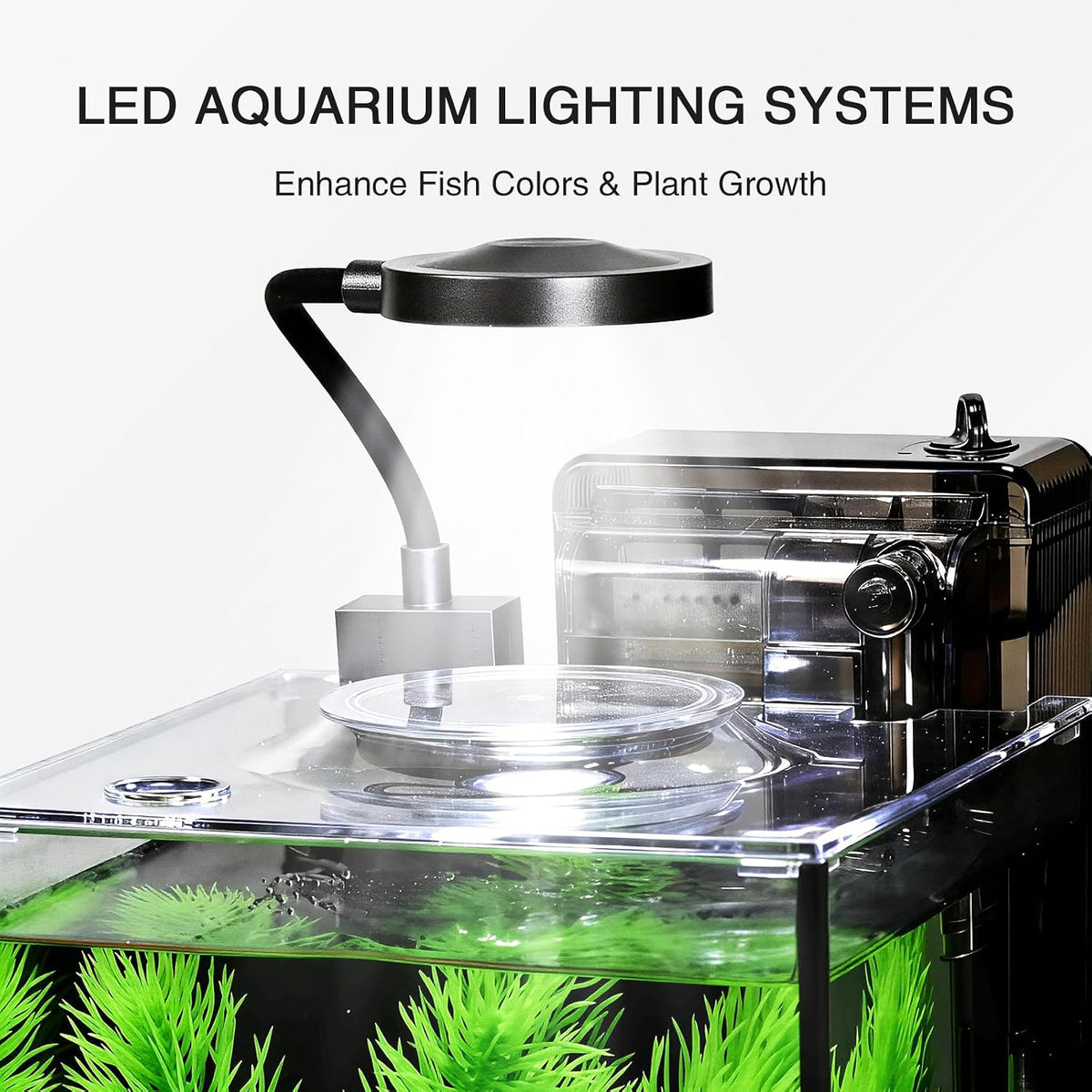 1.2 gallon betta fish tank starter kit, glass, side view