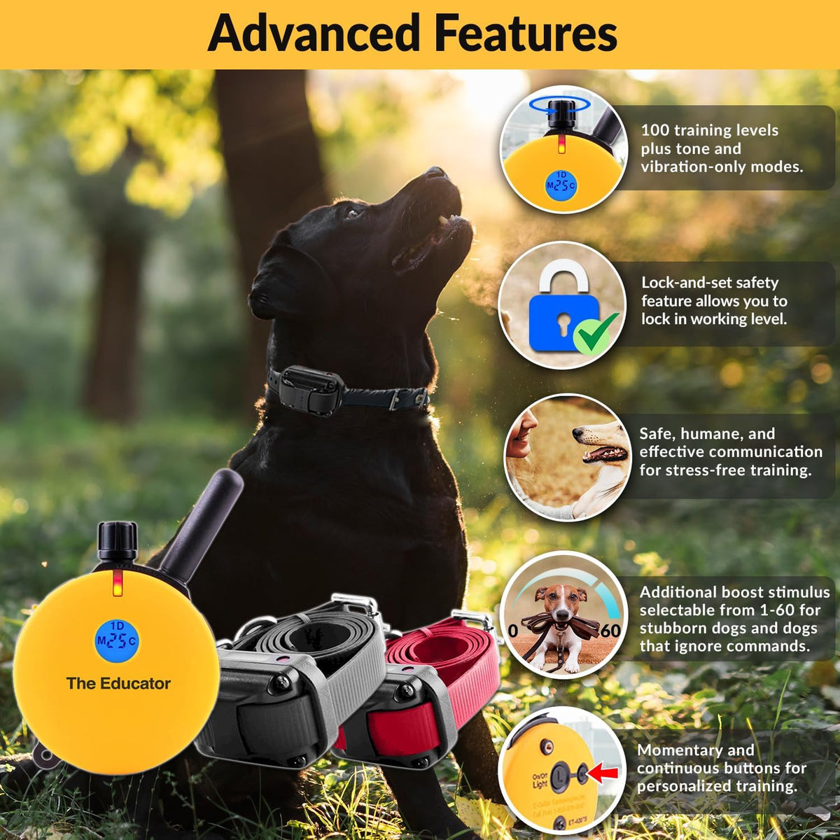 e-collar educator et-402 dog training collar, 2 dog shown in use