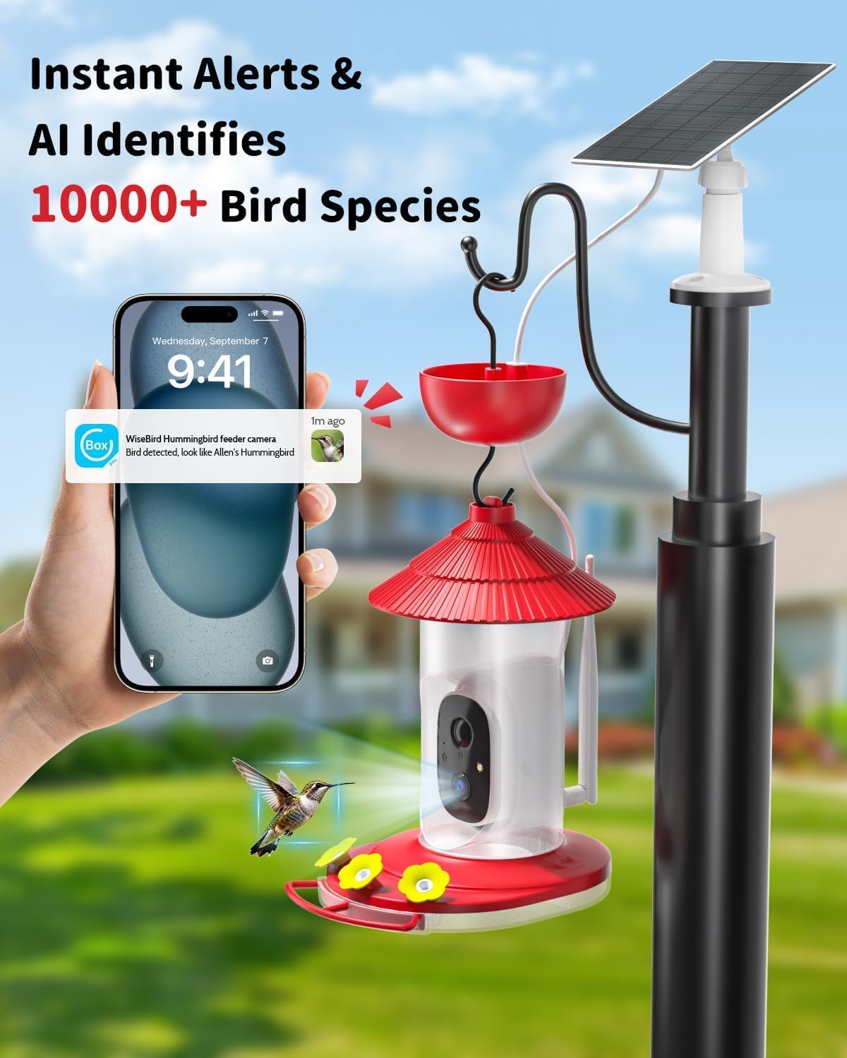 wisebird solar powered hummingbird feeder with camera, close-up detail