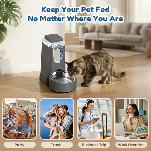 1 gallon automatic cat feeder gravity stainless steel shown in use