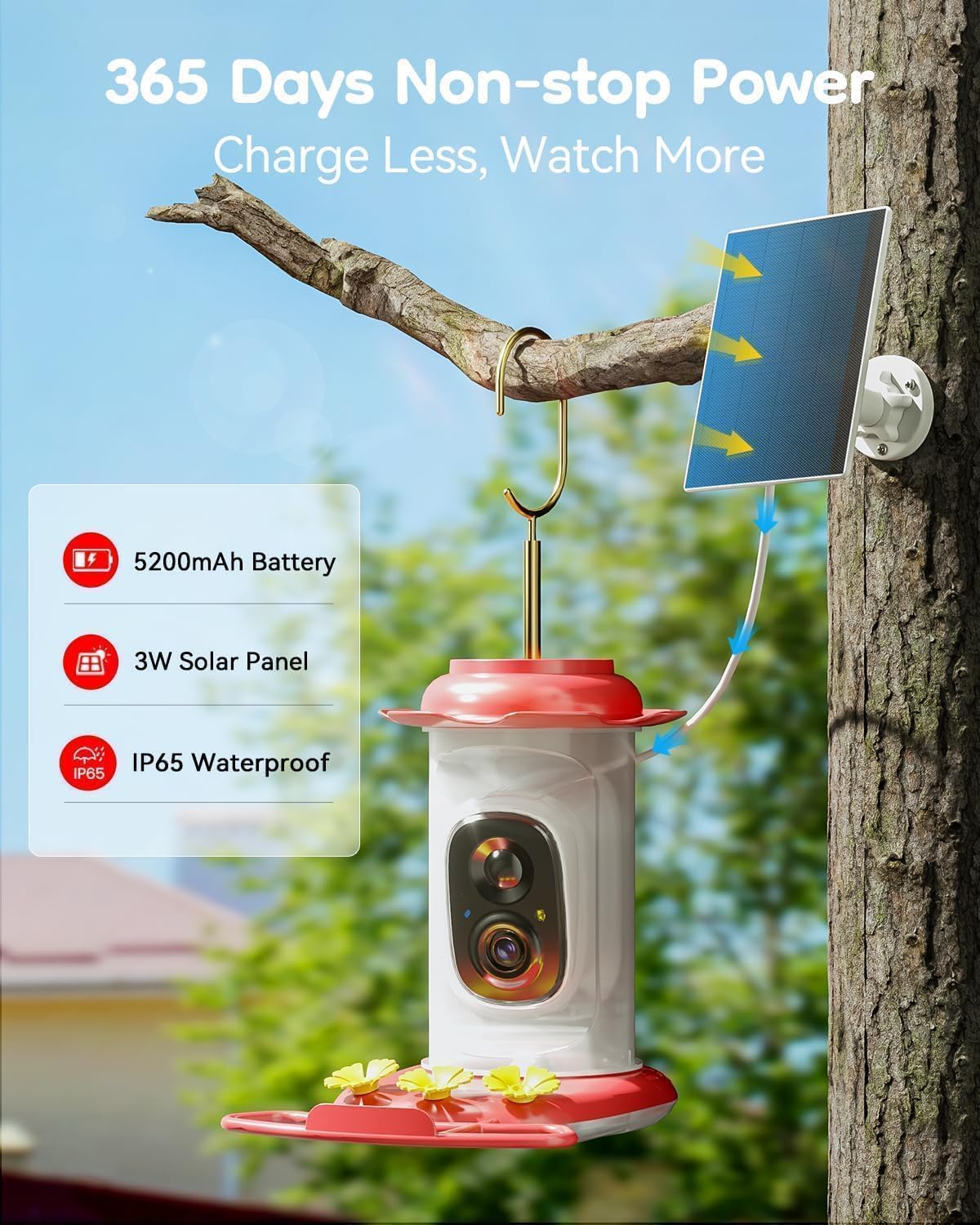 solar hummingbird feeder with camera, 2k live view showing dimensions