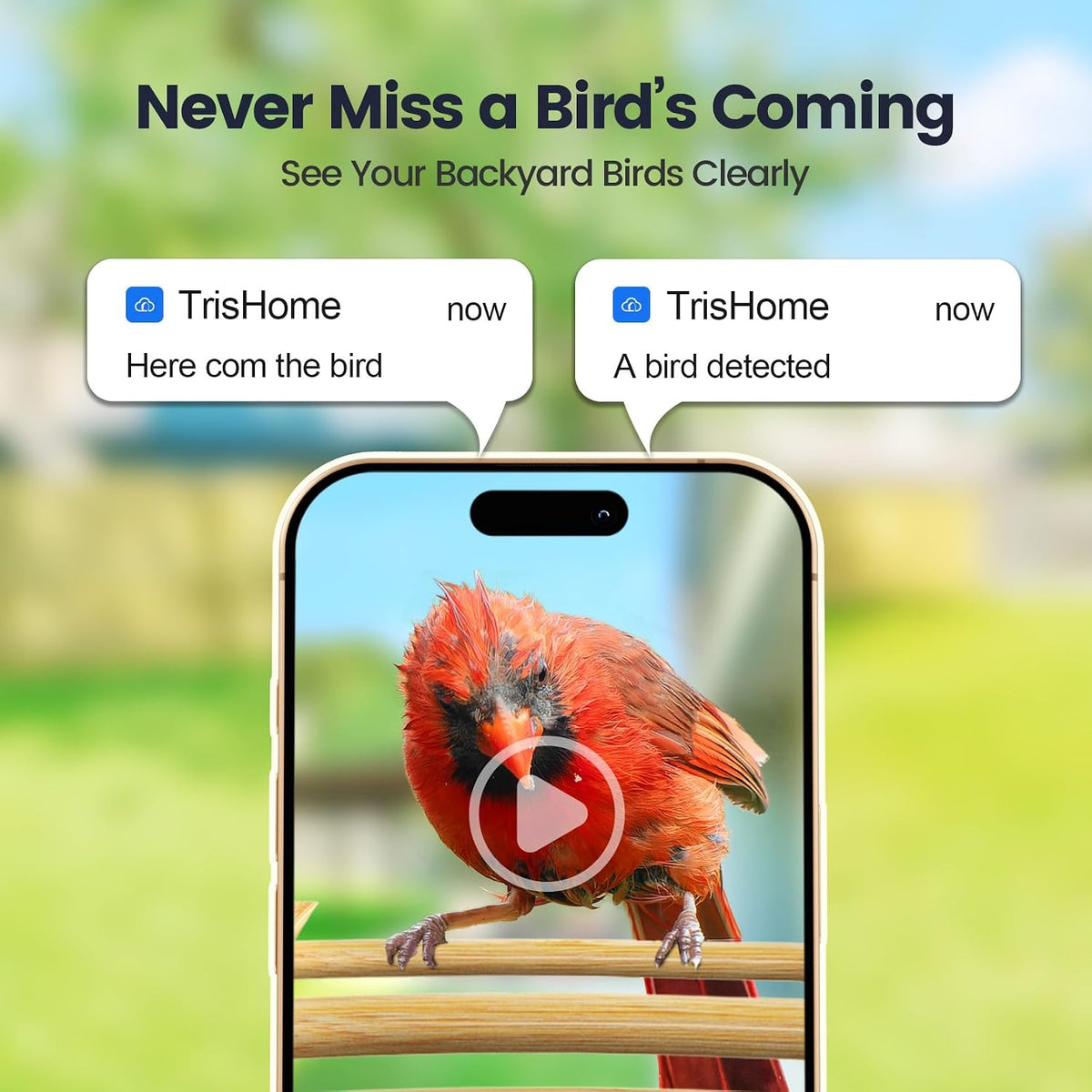 smart bird feeder with camera, solar charging long-lasting showing dimensions
