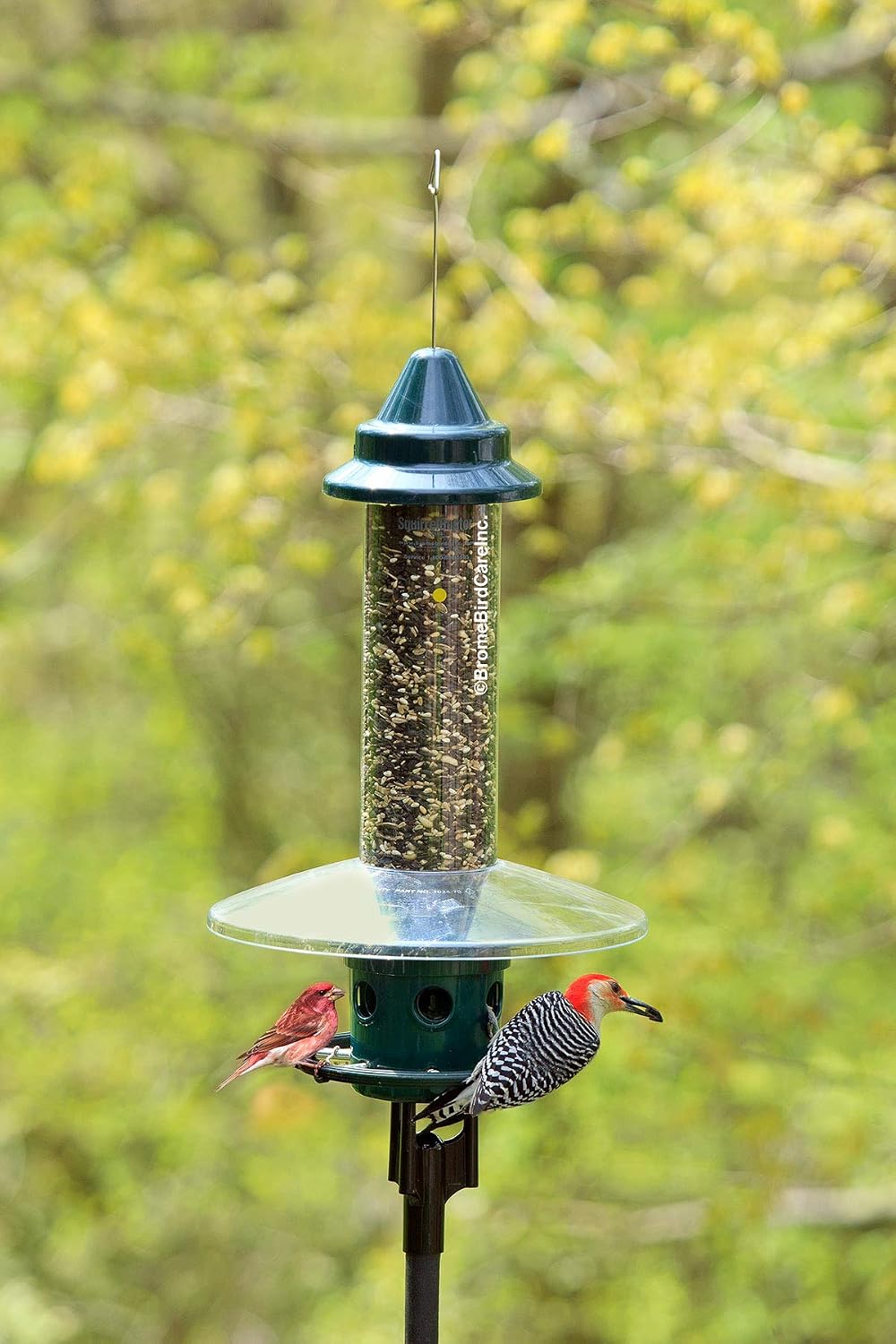 pole adapter for pole mounting a squirrel buster shown in use