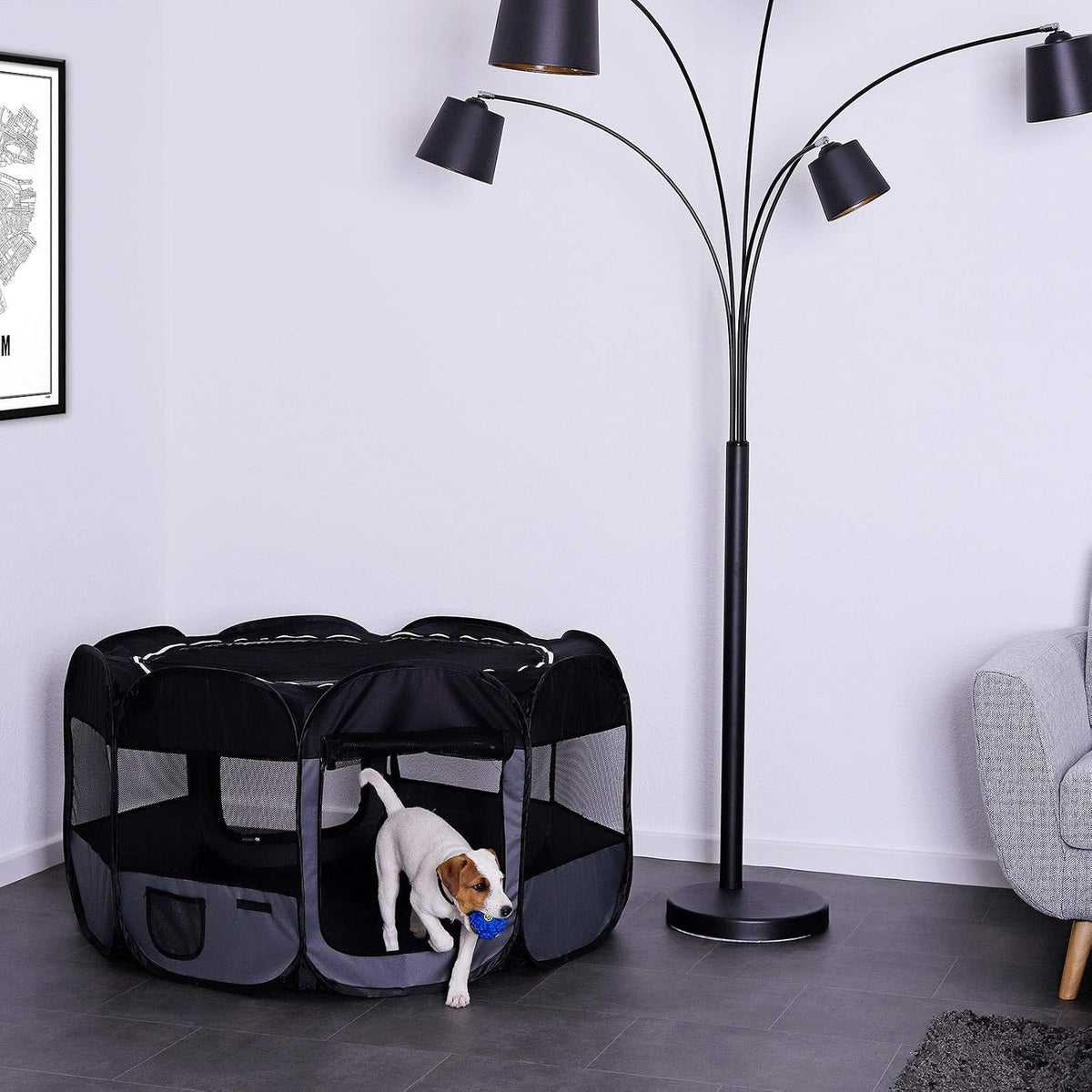 lionto puppy run made of oxford fabric & shown in use