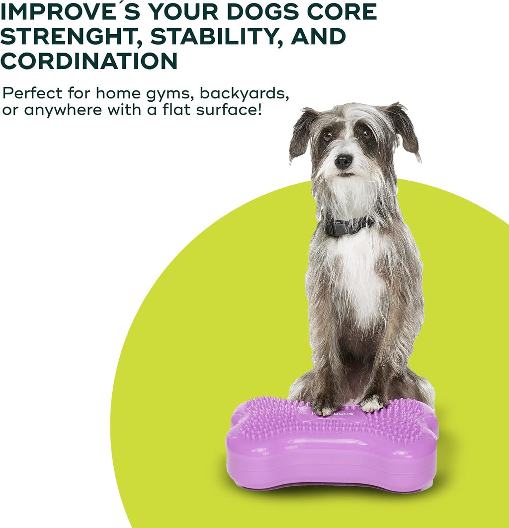 fitpaws® mini k9fitbone® dog balance platform, core stability, package contents