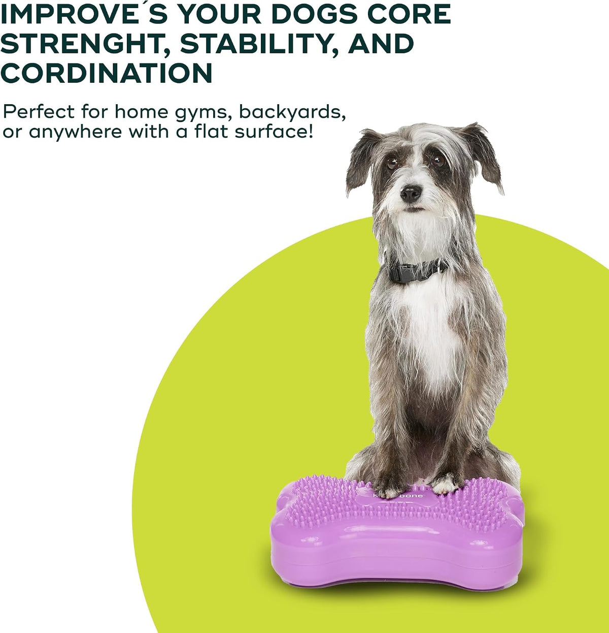 fitpaws® mini k9fitbone® dog balance platform, core stability, package contents