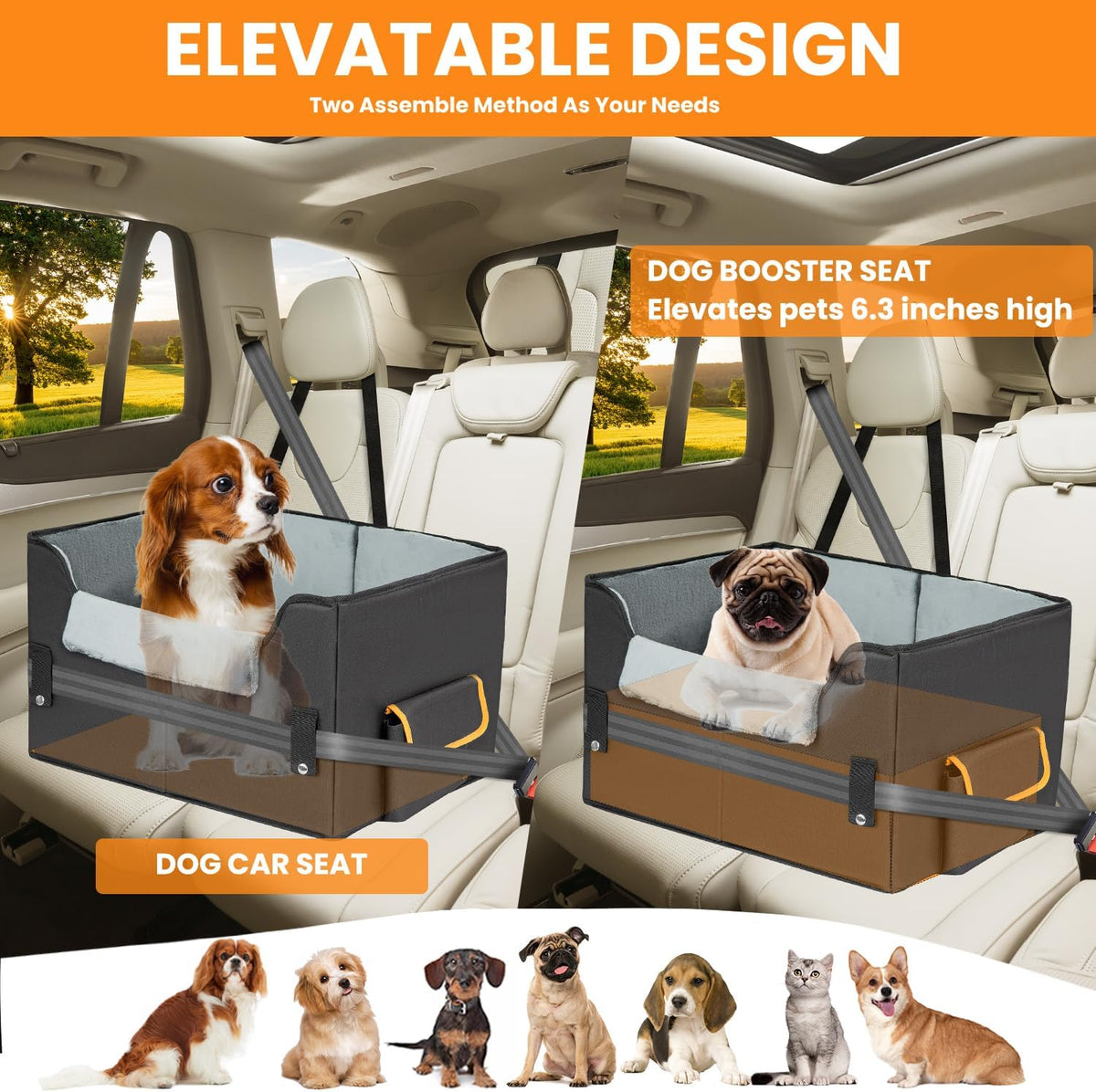 dog car seat for small dogs, elevated dog, close-up detail
