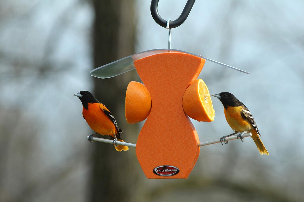 kettle moraine curved oriole orange fruit feeder, side view