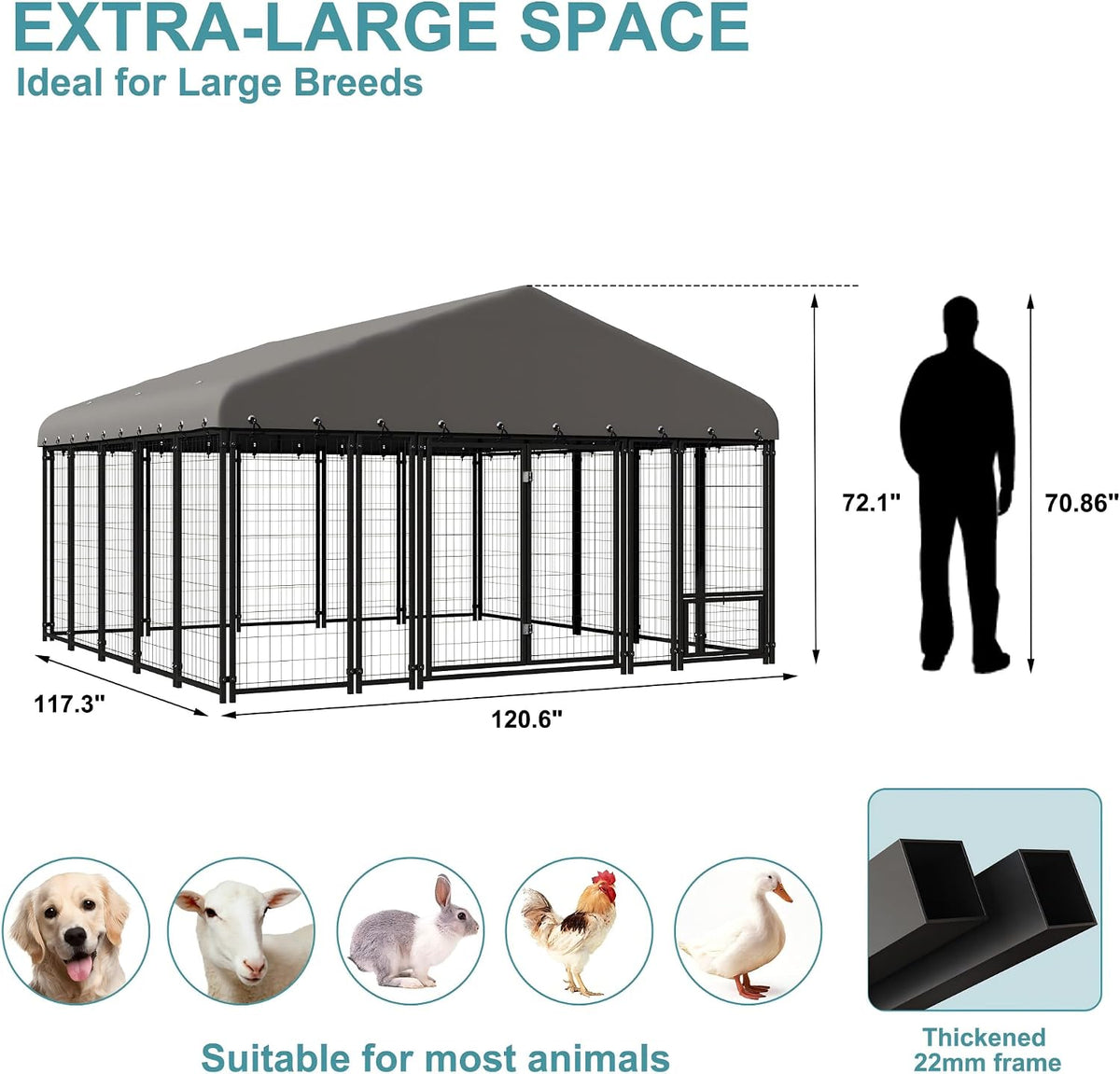 10 ft large outdoor dog kennel with double, side view