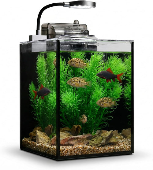1.2 gallon betta fish tank starter kit, glass, main product view