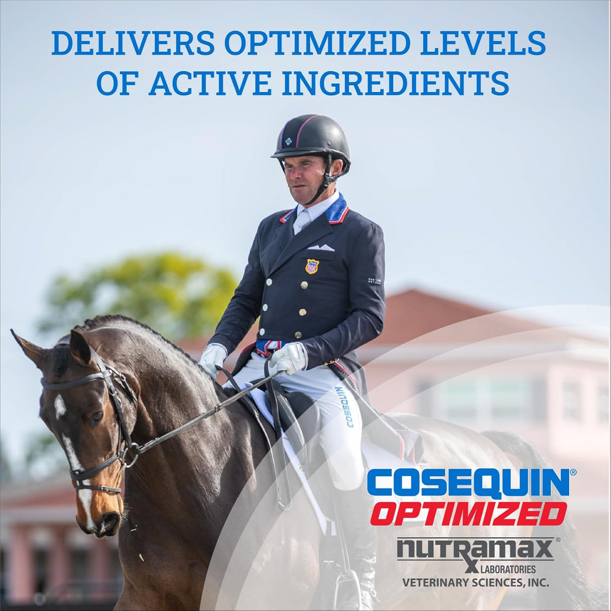 nutramax cosequin optimized horse joint health supplement, pellets, close-up detail