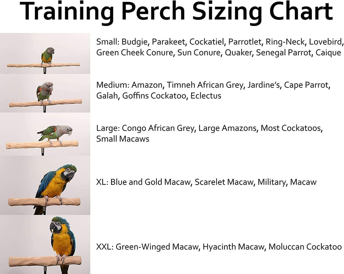 parrot training perch stand with potty tray (t, close-up detail