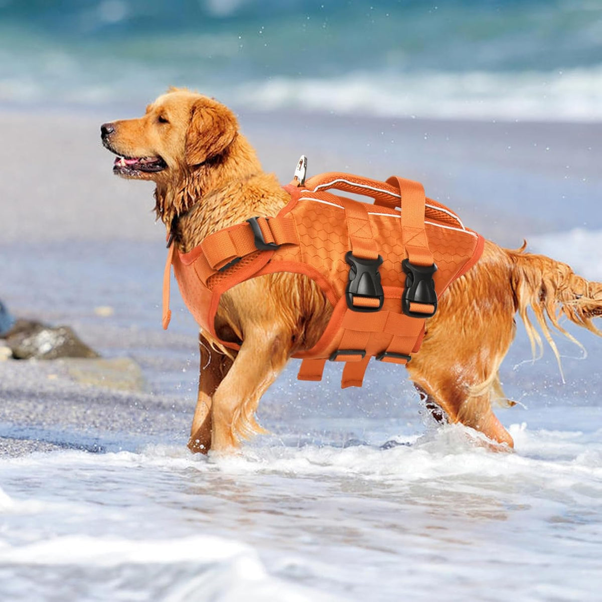 kuoser dog life jacket, high flotation reflective dog, front angle view