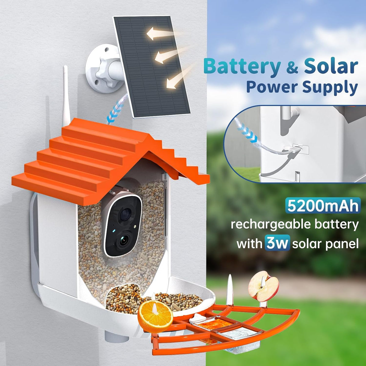 smart bird feeder with camera solar powered & showing dimensions