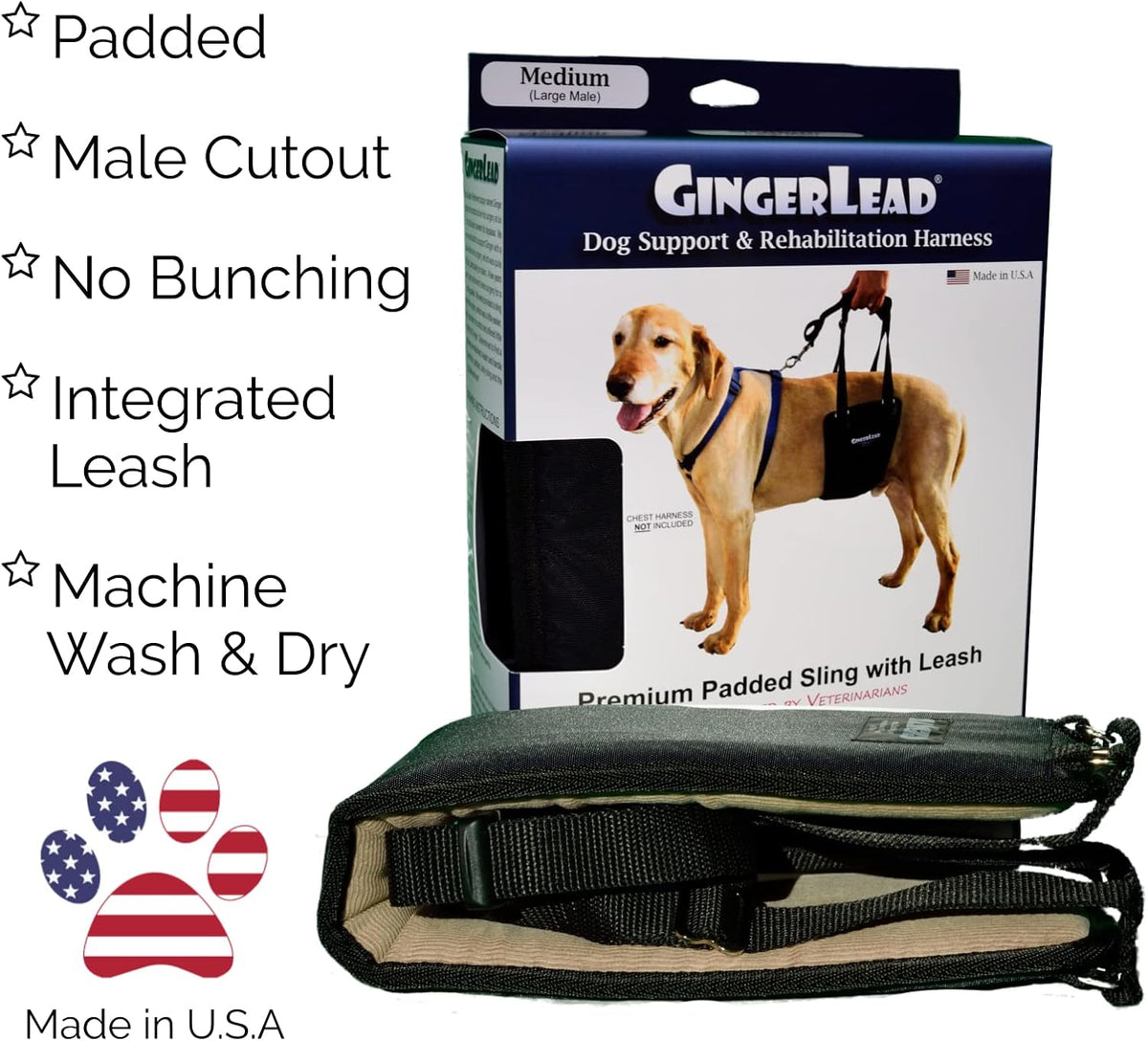 gingerlead® k9 sling hind leg support, m/lg unisex, close-up detail