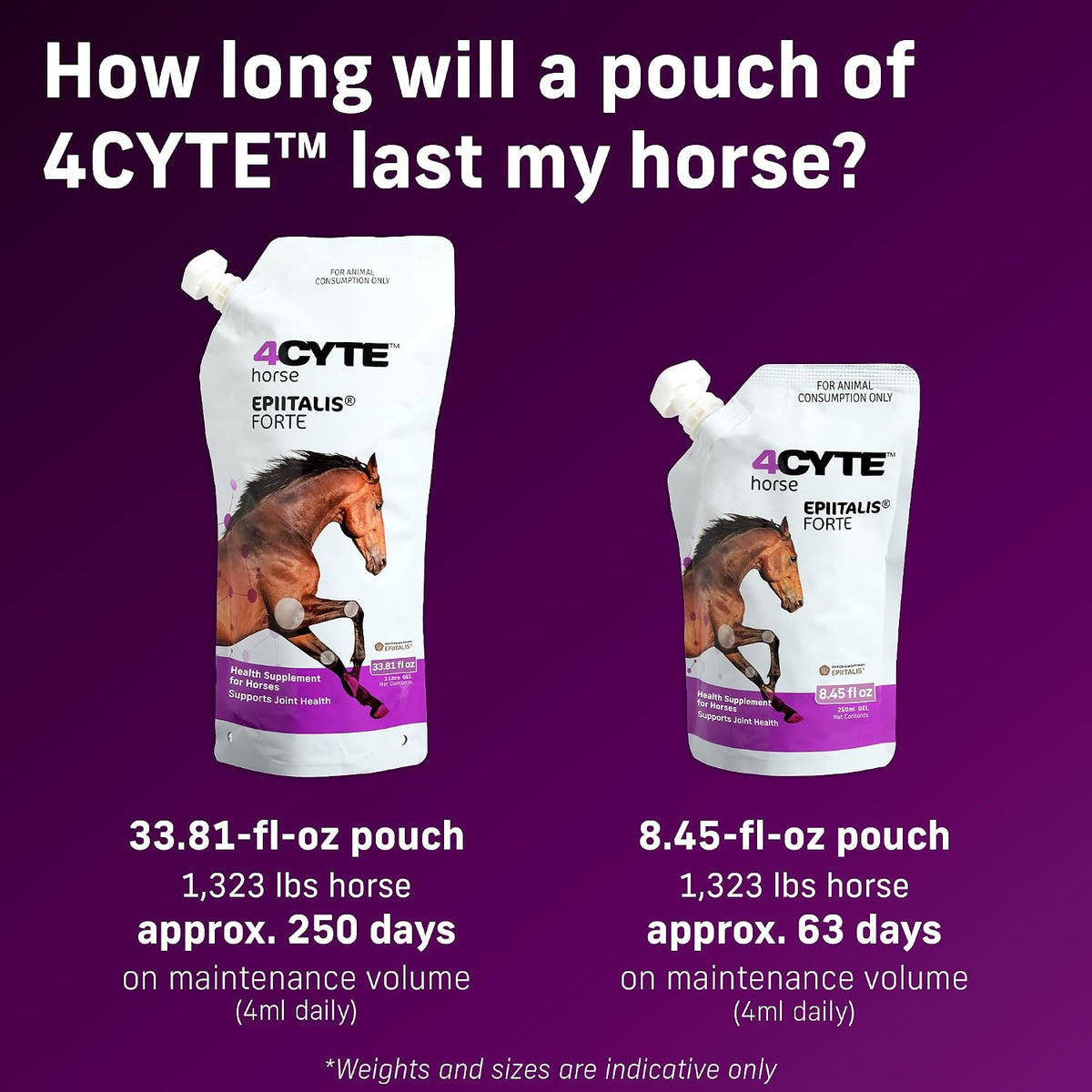 4cyte epiitalis forte horse joint supplement for mobility showing dimensions