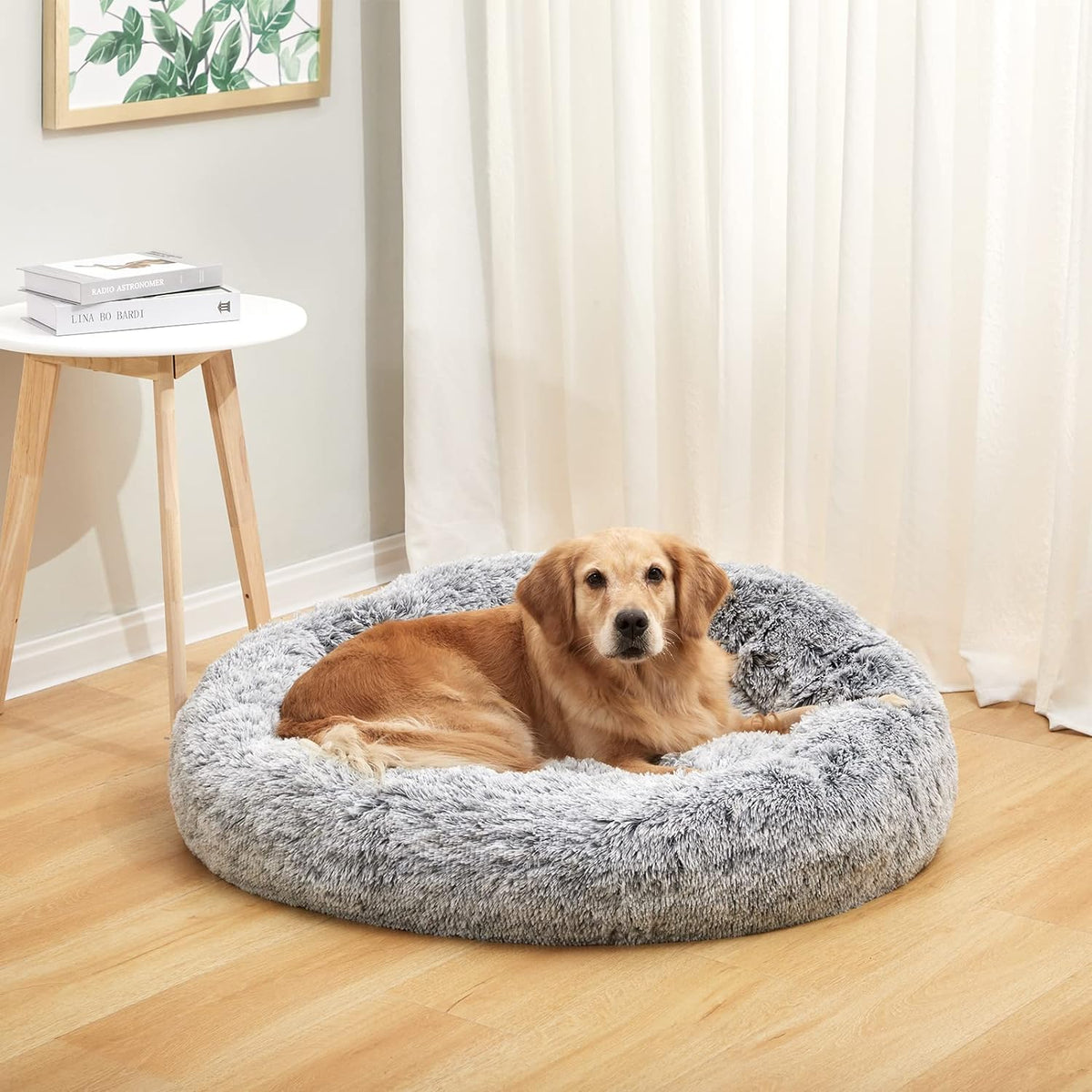 bedfolks calming fluffy donut dog bed for large shown in use