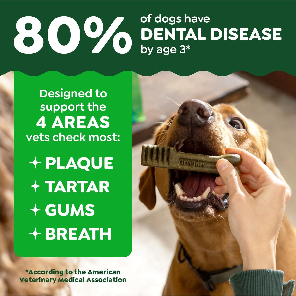 greenies veterinarian-recommended natural dental dog treats,dental chews for, close-up detail