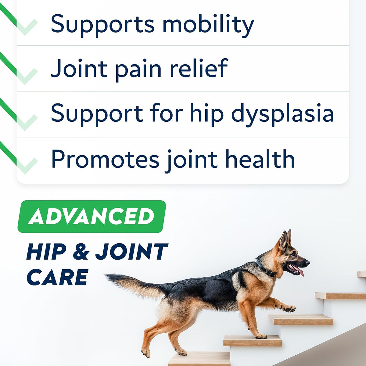 advanced glucosamine for dogs, collagen&green lipped mussel shown in use