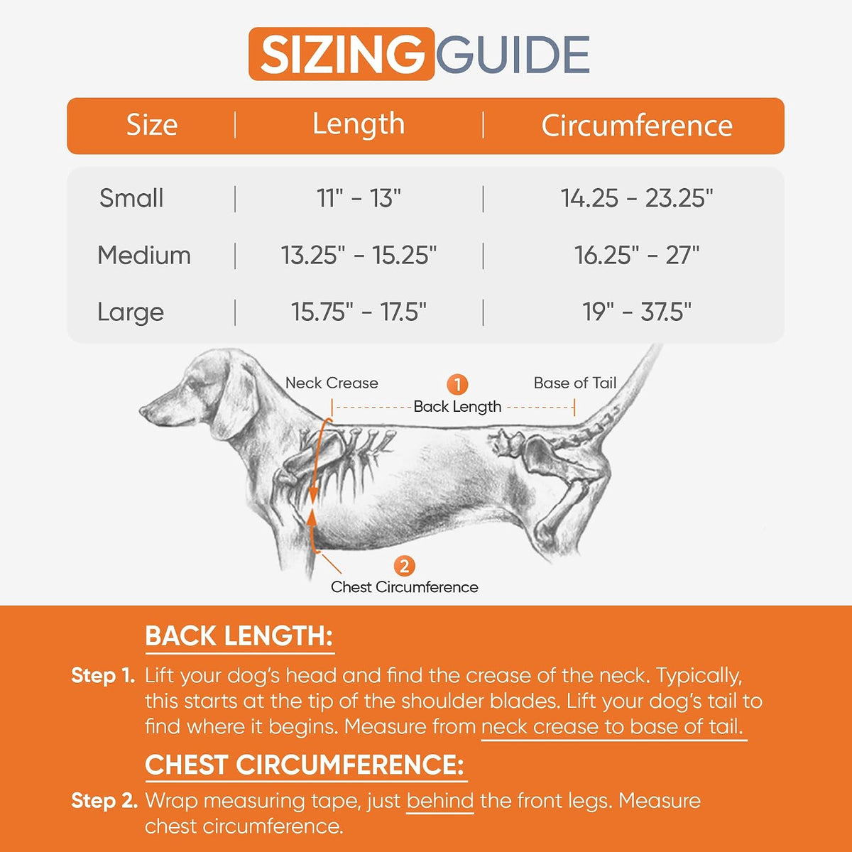 dog back brace with soothing heat warmers for shown in use