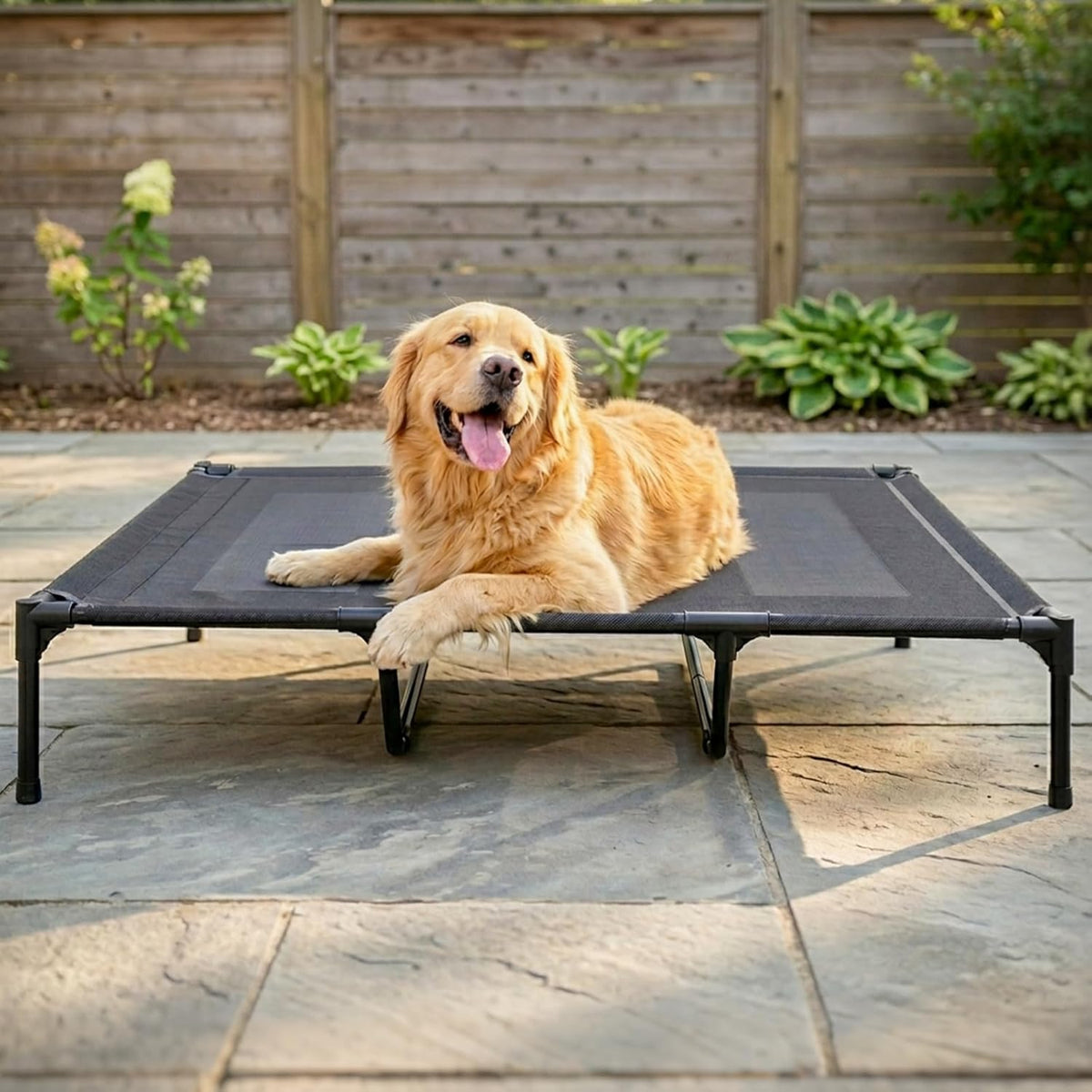 suddus elevated dog bed for large dogs 120lb, main product view