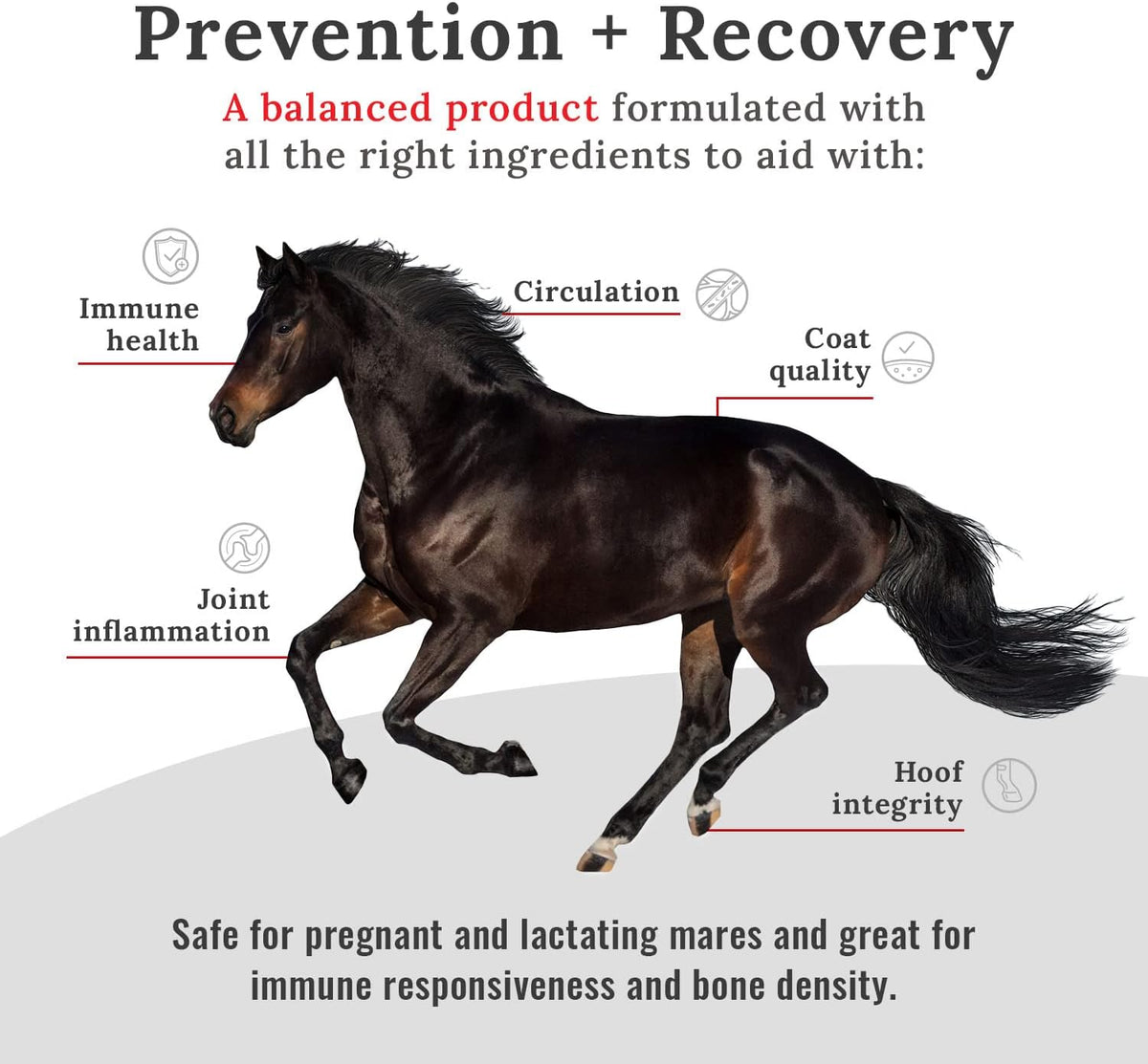 mojo joint horse supplements, equine pelleted supplement, all shown in use