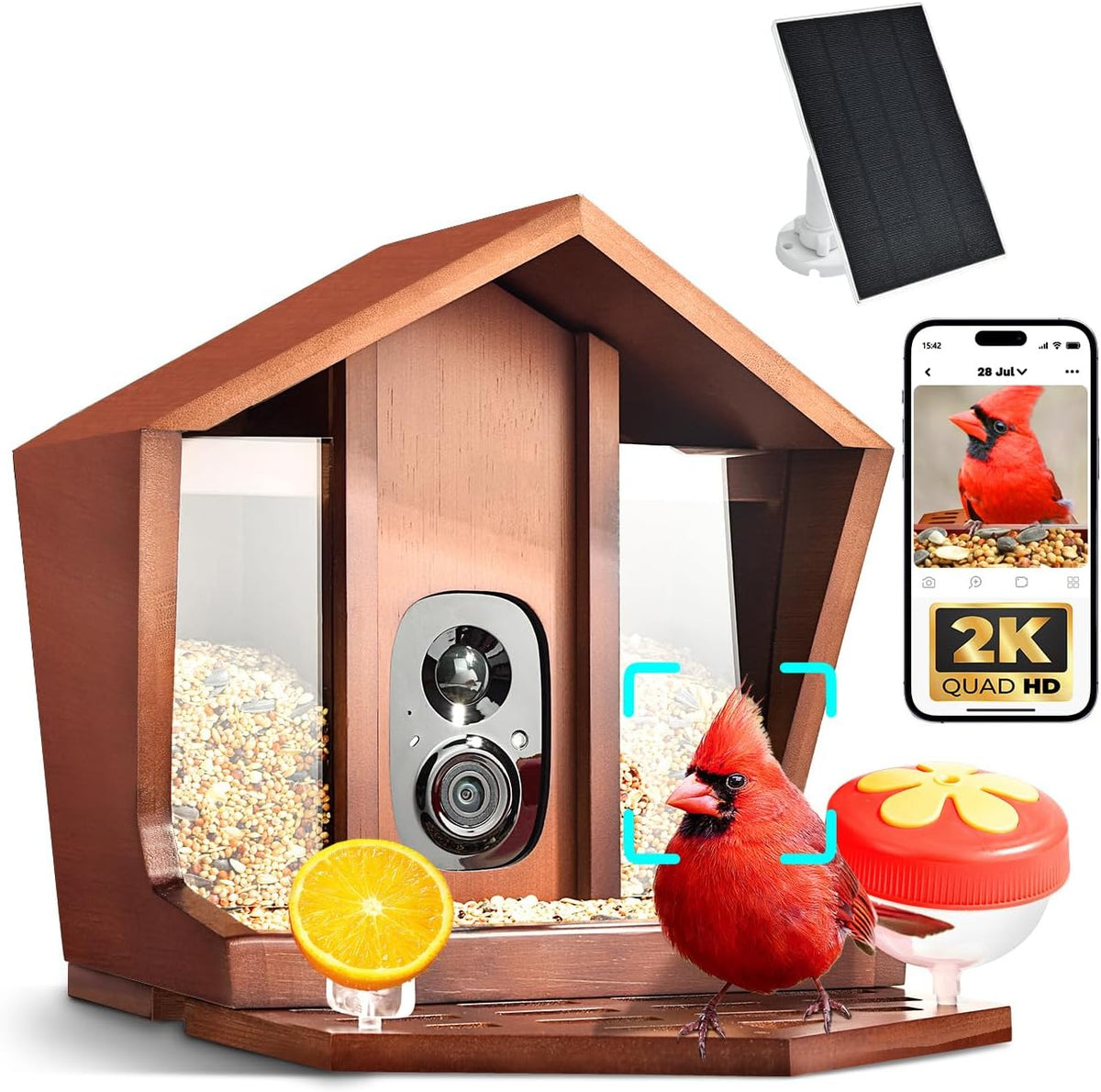 smart bird feeder with camera solar powered 2k, main product view