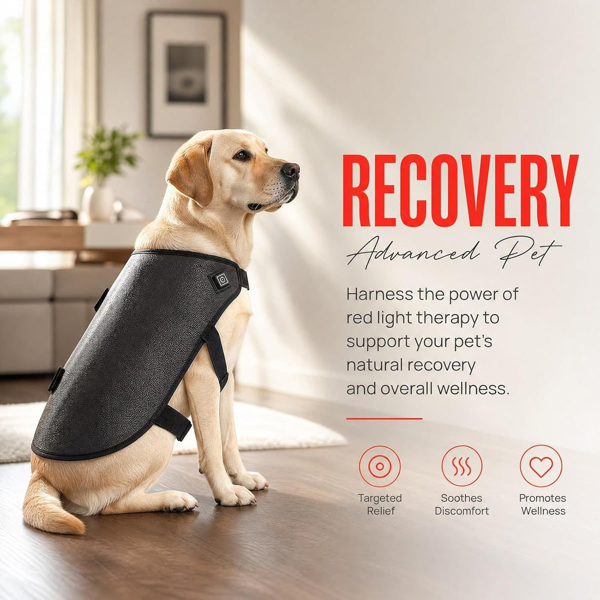 red light therapy for dogs hip & joint showing dimensions