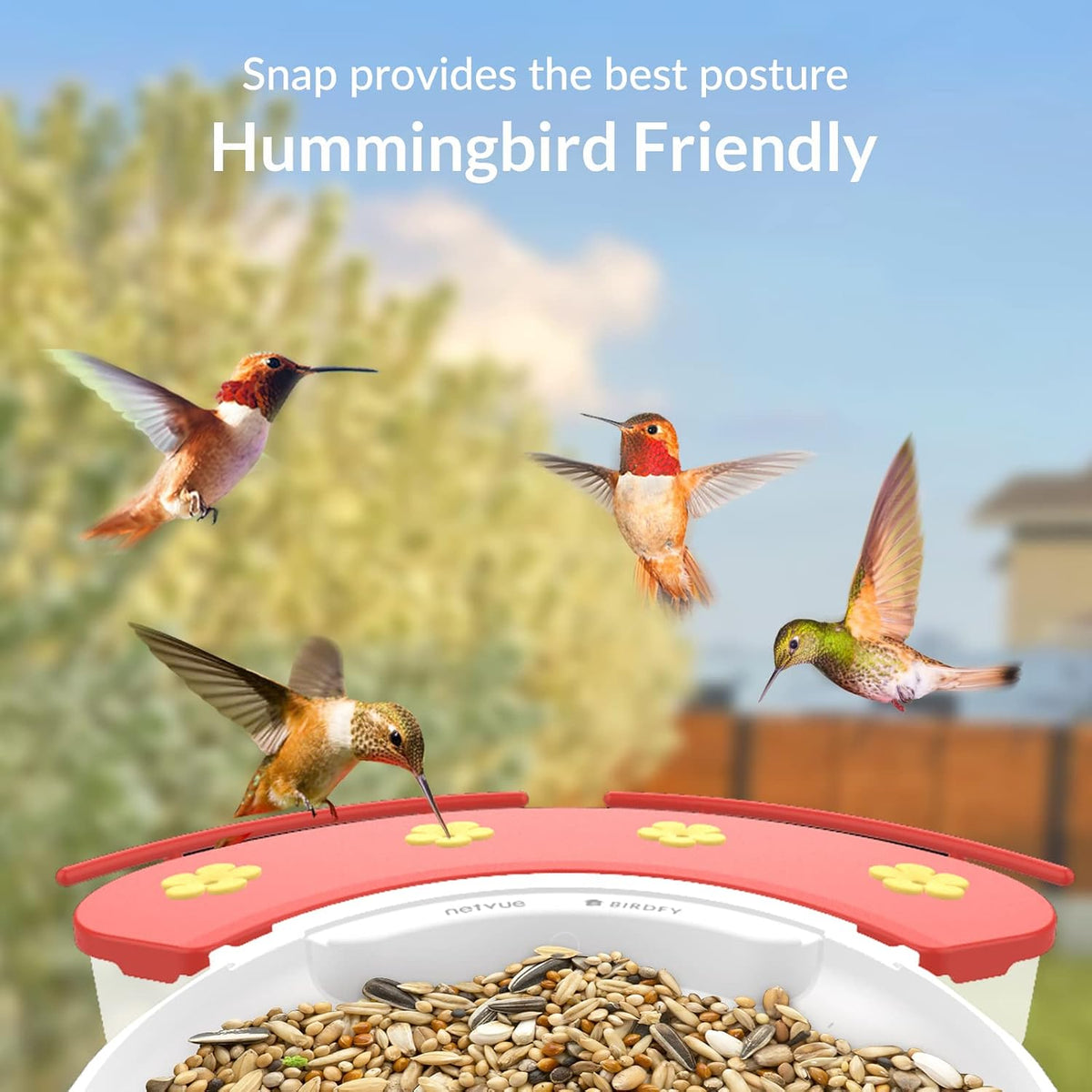 netvue by birdfy smart bird feeder with camera, side view