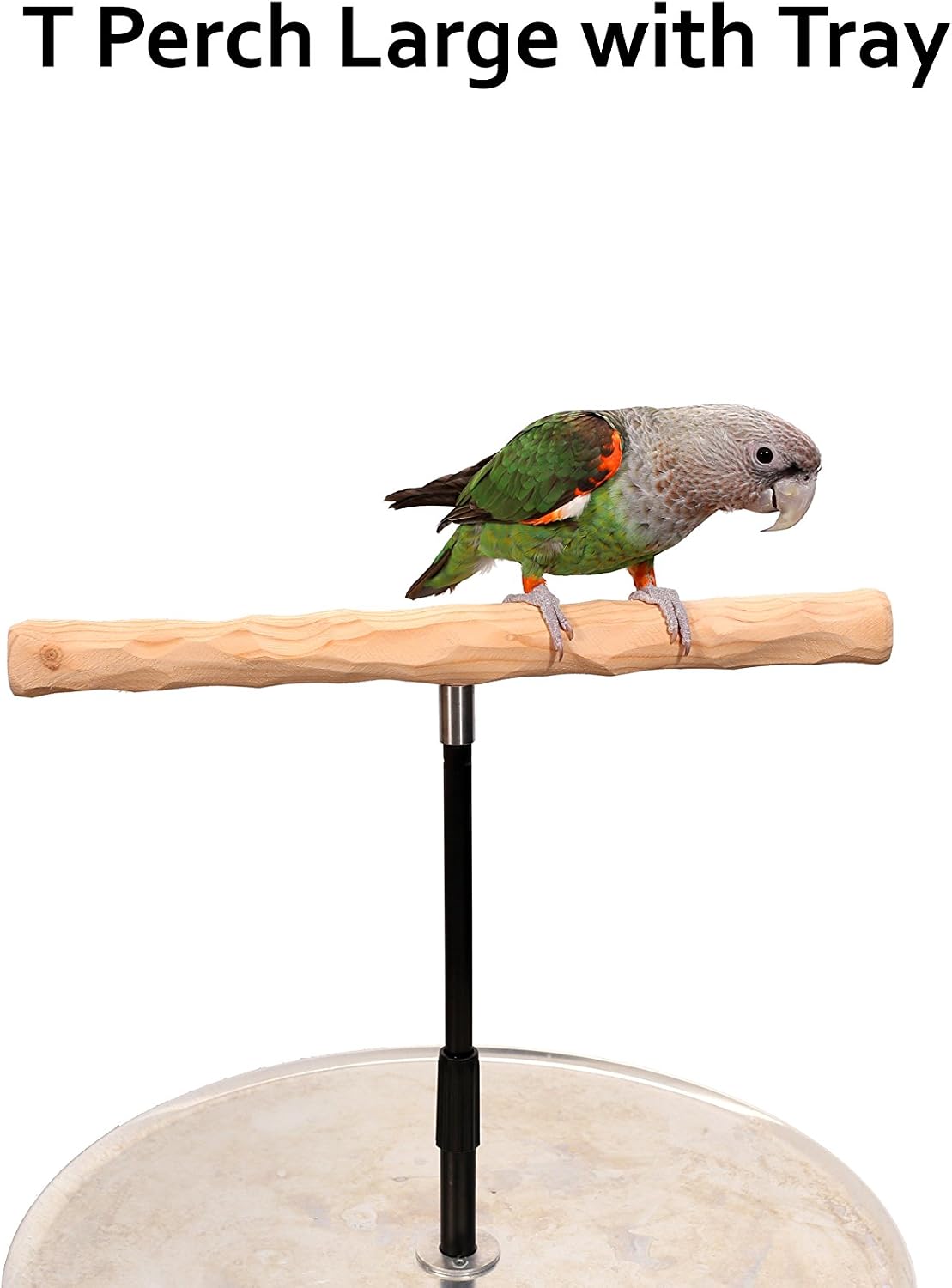 parrot training perch stand with potty tray (t shown in use