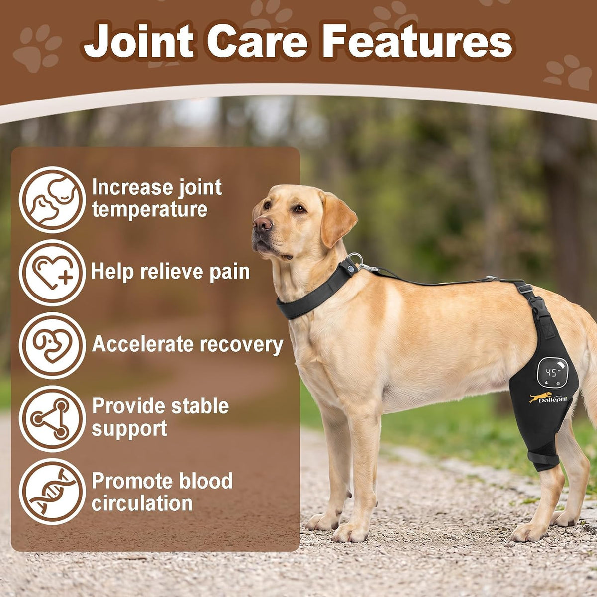 dog knee brace with heat vibration for acl shown in use