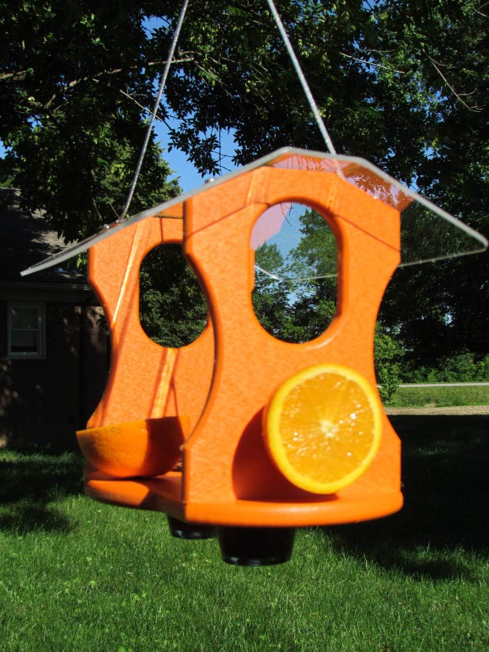 jcs wildlife oriole feeder for outdoors, recycled poly shown in use