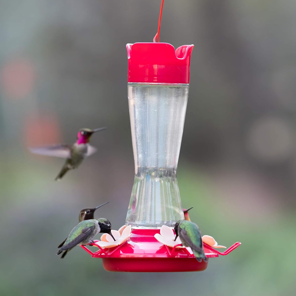 perky-pet 9201-6 top-fill pinch-waist glass hummingbird feeder – shown in use