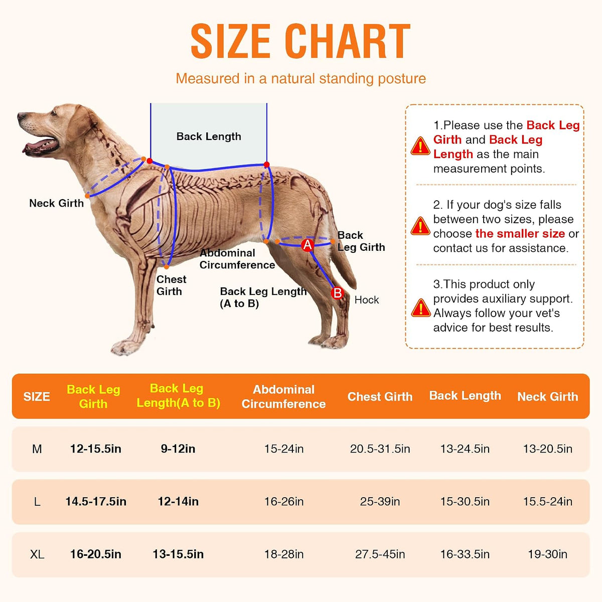 dog knee brace xl, hind leg support with showing dimensions