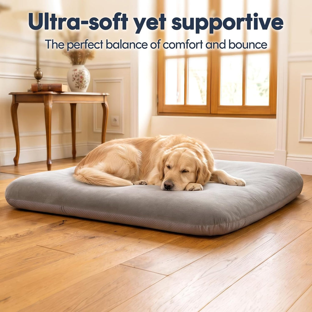 magic dog orthopedic extra large dog bed 47, front angle view
