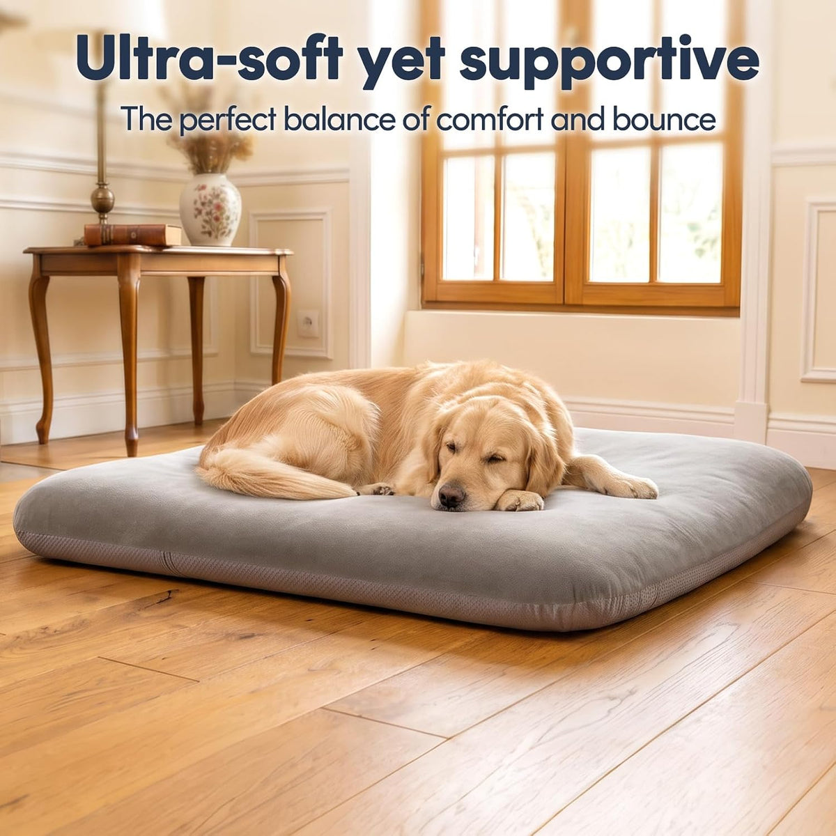 magic dog orthopedic extra large dog bed 47, front angle view