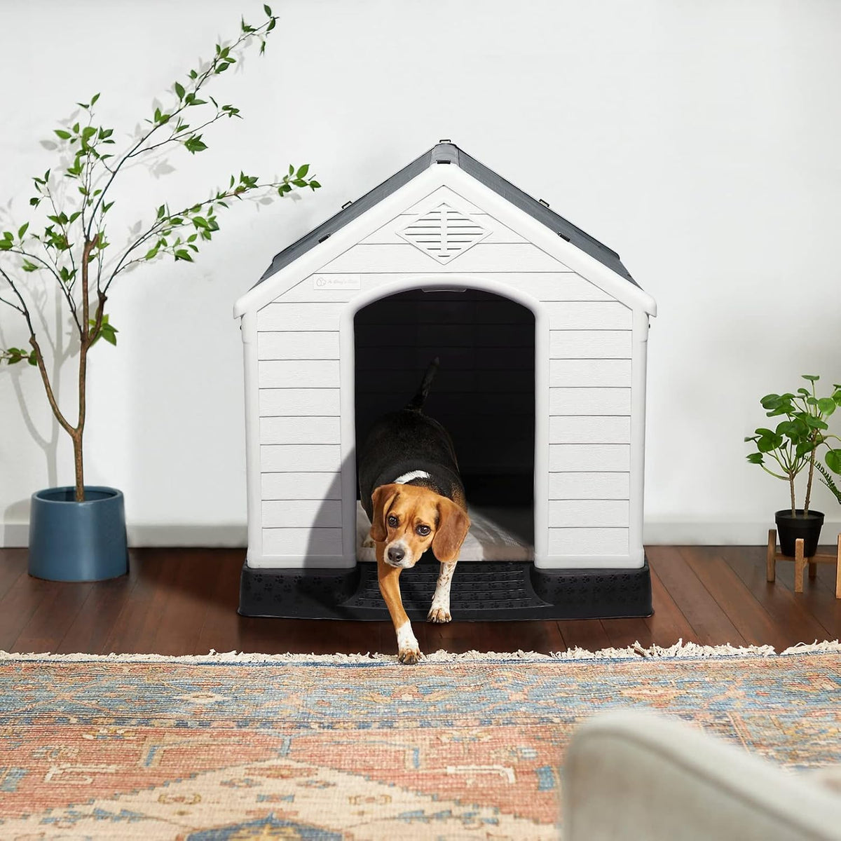 lemberi durable waterproof plastic dog house for small shown in use
