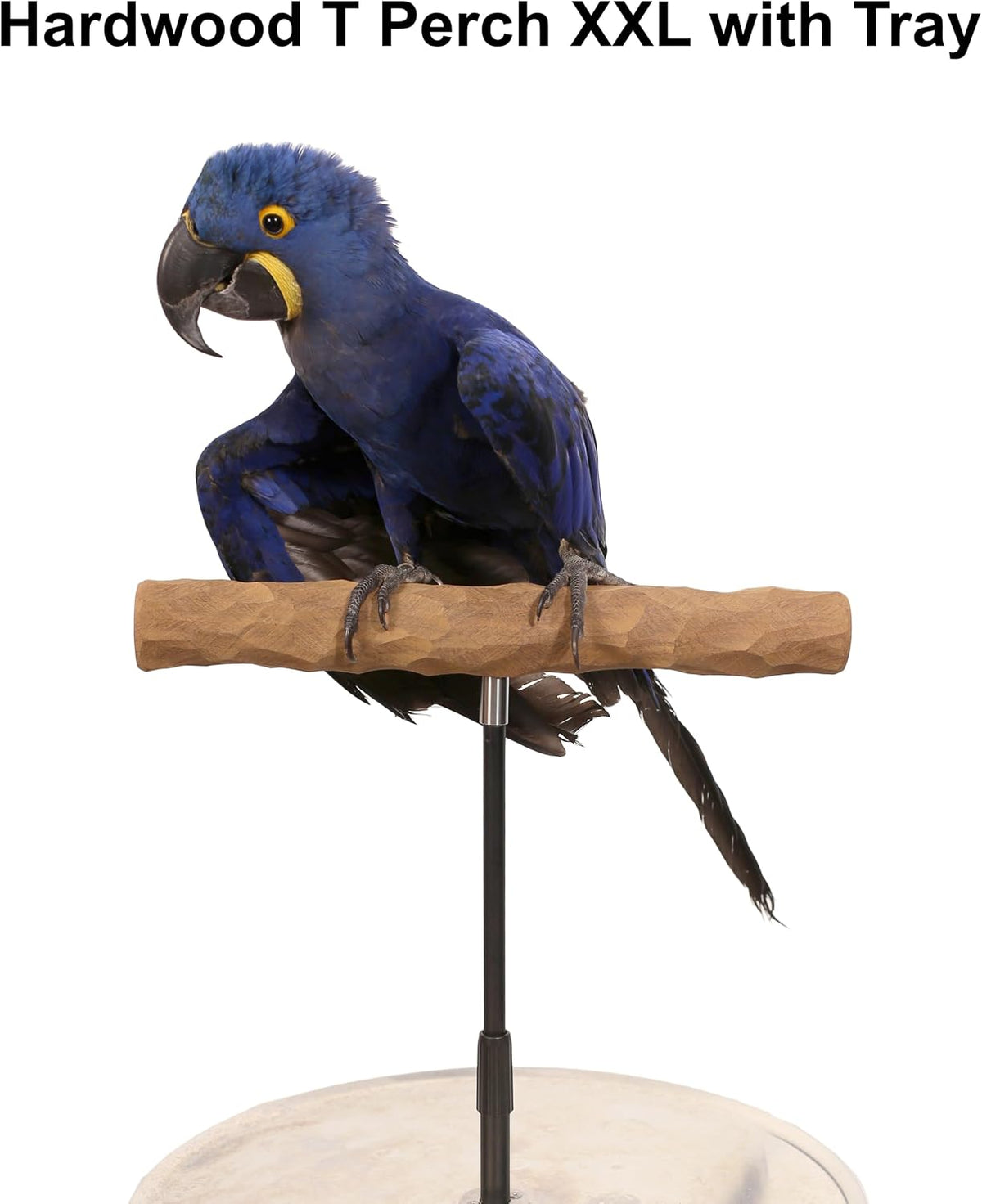 parrot training perch stand with potty tray (t shown in use