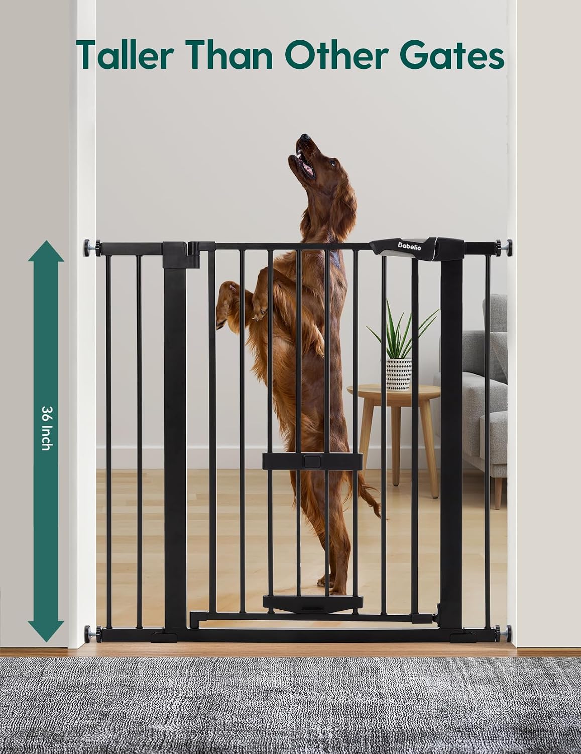 babelio 36" tall dog gate with cat door shown in use